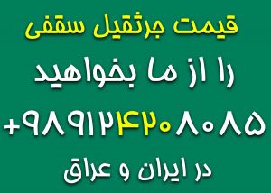 قیمت جرثقیل سقفی پنج تن