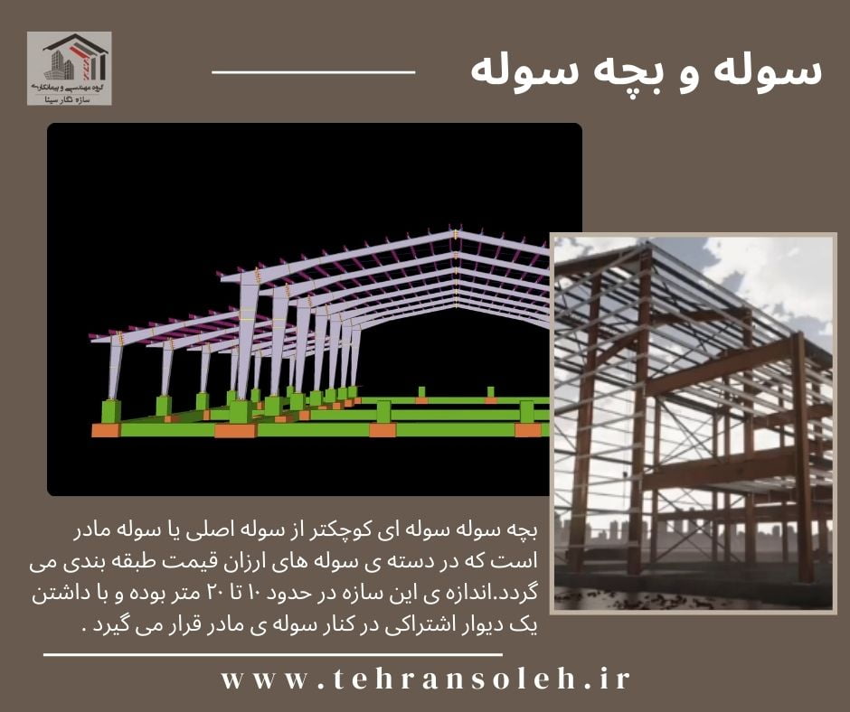 قیمت سوله و بچه سوله