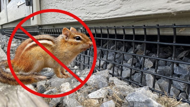 سوله نگهبان